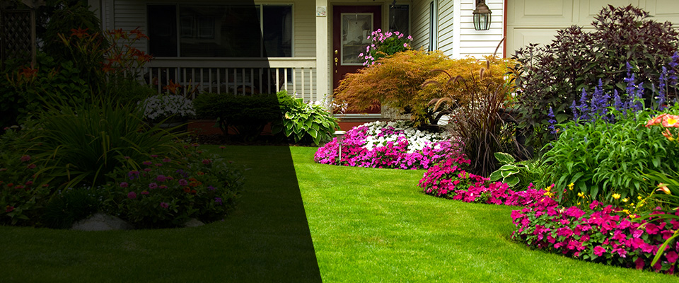 East Dublin Landscapers