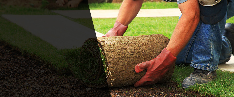 East Dublin Landscapers